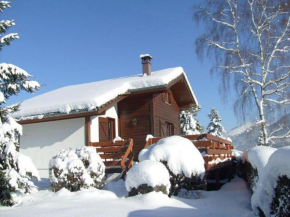 Comfy chalet with dishwasher, in the High Vosges